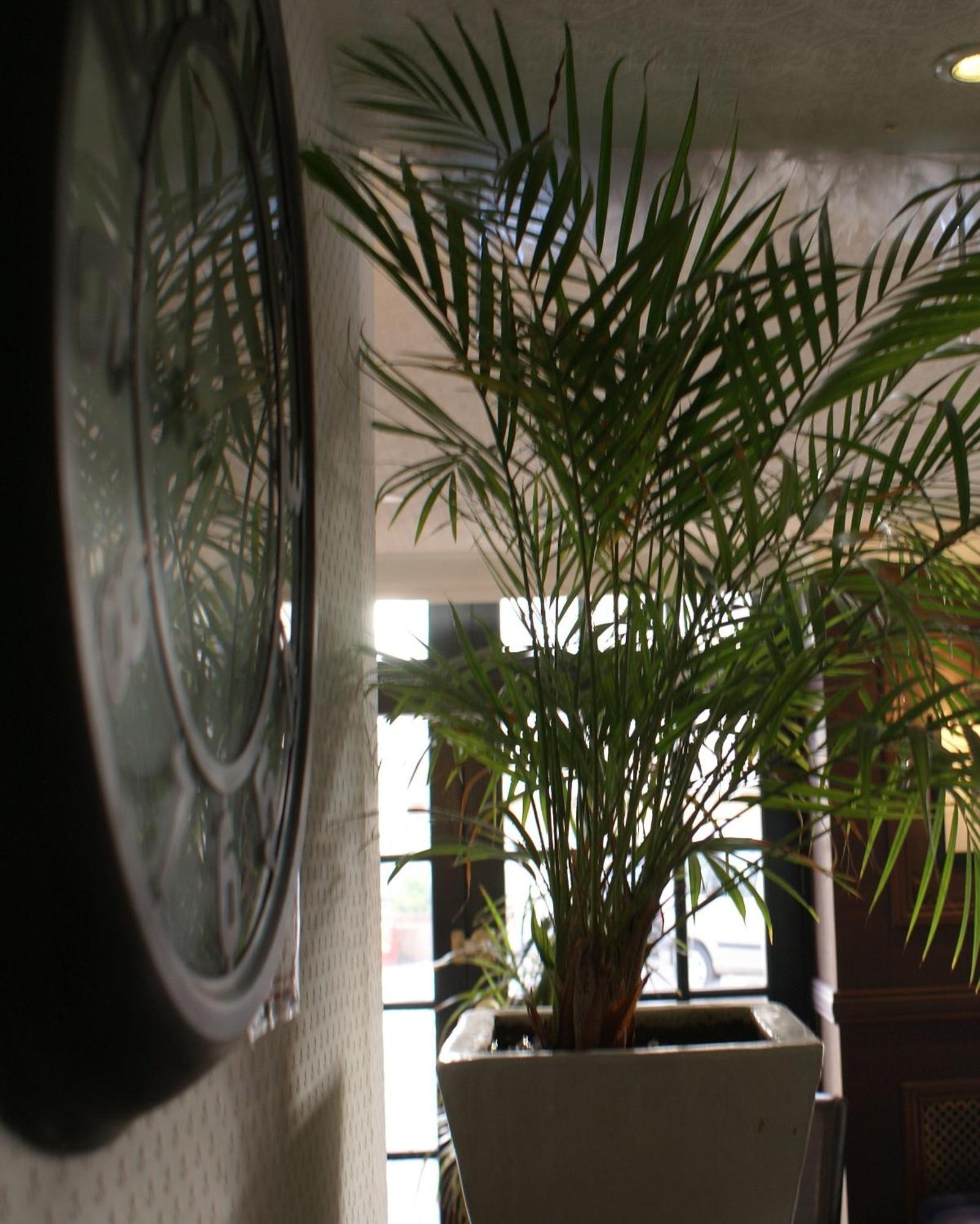 Be Cottage Hotel Le Touquet Exteriér fotografie
